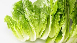 Marul Nasıl Saklanır? 