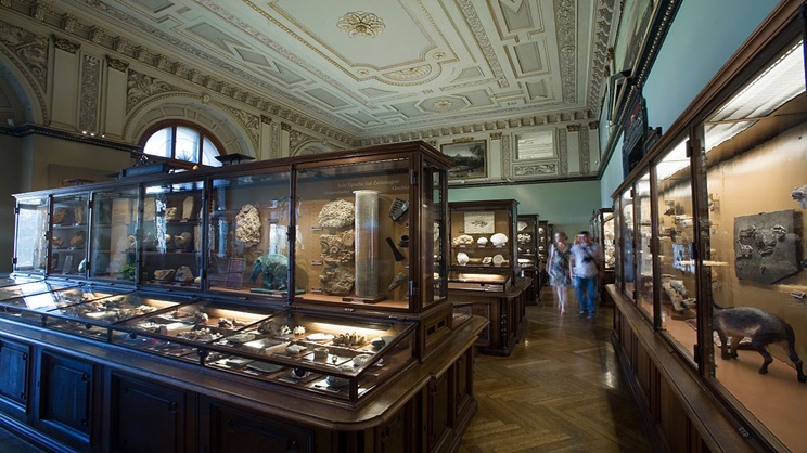 Tarihi Nesnelerin Müzelerde Koruma Altına Alınmasının Sebepleri Nelerdir?