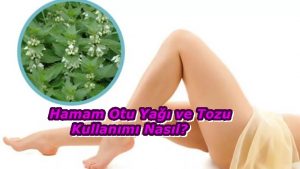 Hamam Otu Nedir? Hamam Otu Yağı ve Tozu Kullanımı Nasıl? 