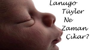 Lanugo Tüyleri Ne Zaman Çıkar? 