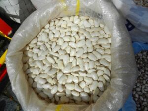 B Vitamini Açısından Zengin Besinler